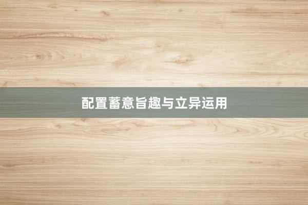 配置蓄意旨趣与立异运用